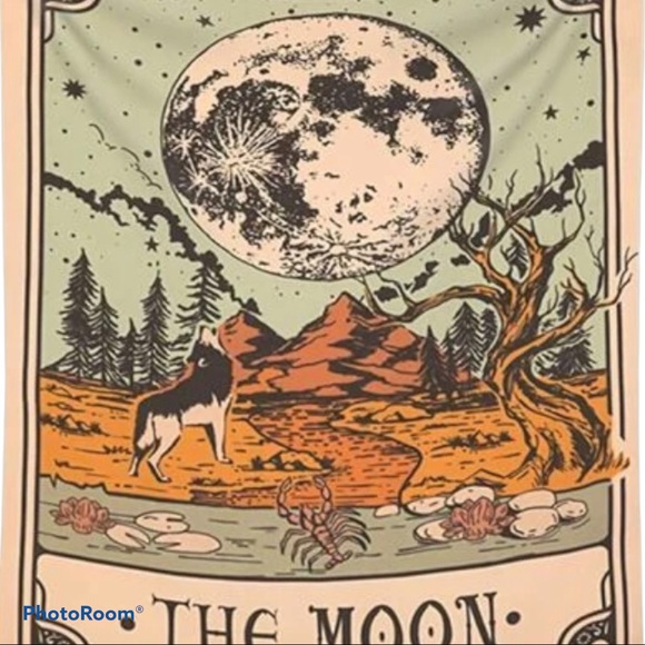 THE MOON TAROT CARD WALL HANGING - Picture 2 of 5